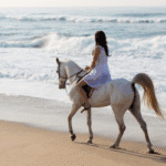 http://Woman%20riding%20a%20white%20horse%20on%20the%20beach%20during%20an%20Essaouira%20excursion%20from%20Marrakech